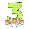 3rd birthday