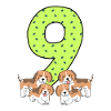 9th birthday