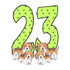 23rd birthday