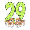 29th birthday