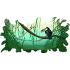 Jungle Toucan Rainforest