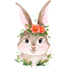 Hare