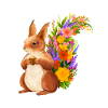 Squirrel