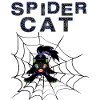 Spider Cat