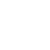 Surfskate Shaka