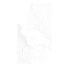 Frihed Japansk Kanji Kalligrafi Kunst