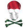 Hungary Flag