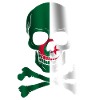 Algeria Flag