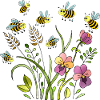 Insects