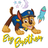 Paw Patrol Big Brother
