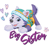 Paw Patrol Big Sister