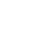 Alchimia Inghilterra Poe's Raven Raven Skull