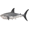Requins