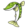 Dabbing Dab Pike Fish