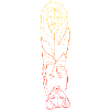 Lion & Lionceau lineart