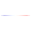 French flag