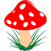 Mushroom red with white dots Autumn