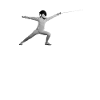 Fencing