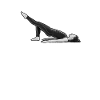 Pilates