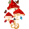 butterfly mushroom