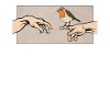 Rotkehlchen Vogel des Jahres Rotkehlchen