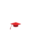 diplôme, bac, bachelier, bachelière