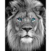 LION WITH BLUE EYES