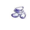 Mussel saying