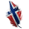 Plume Norvège