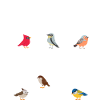 Oiseaux Oiseau Nerd