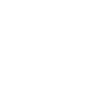 Dandelion Birds Flower