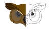 Owl Animal Motif