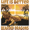 Bearded Dragons