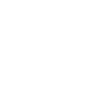 Custom Motor
