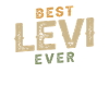 Best Levi Personalized Name Funny