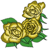 Yellow roses