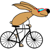 Bicycle Rabbit
