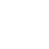 Custom Engine