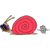 Équipe Snail