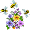 Insects