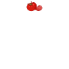 Vegetarian farmers tomatoes gift