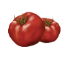 Tomato Whisperer Gift