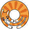 Orange cat