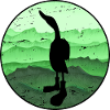 wandernde Ente