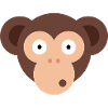 Monkey Ape