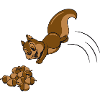 Squirrel nuts nut