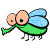 Fly