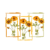 Sunflower flowers