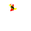 Bärn Heimat Bern