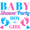 BABY SHOWER PARTY - BABY SHOWER - BABY SHOW